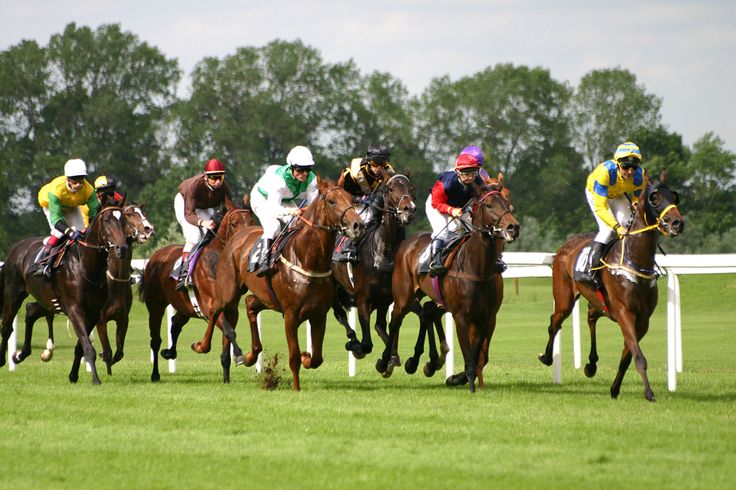 Course hippique
